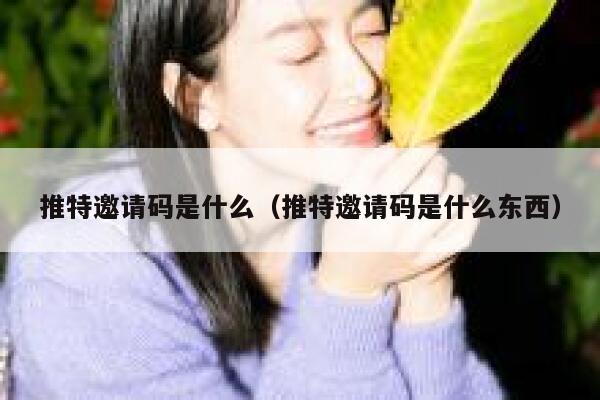推特邀请码是什么（推特邀请码是什么东西） 第1张