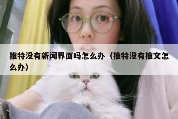 推特没有新闻界面吗怎么办（推特没有推文怎么办） 第1张