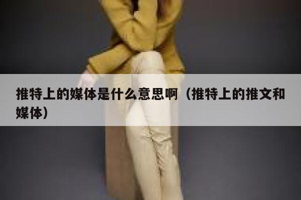 推特上的媒体是什么意思啊（推特上的推文和媒体） 第1张