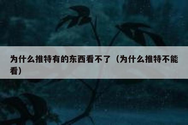 为什么推特有的东西看不了（为什么推特不能看） 第1张