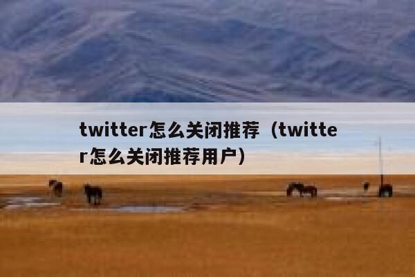 twitter怎么关闭推荐（twitter怎么关闭推荐用户） 第1张