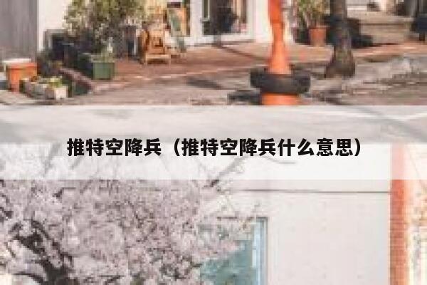 推特空降兵（推特空降兵什么意思） 第1张