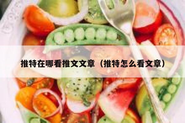 推特在哪看推文文章（推特怎么看文章） 第1张