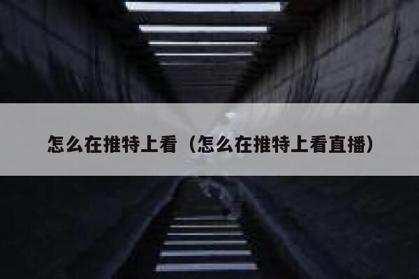 怎么在推特上看（怎么在推特上看直播） 第1张