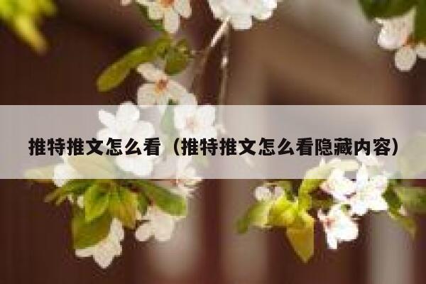 推特推文怎么看（推特推文怎么看隐藏内容） 第1张