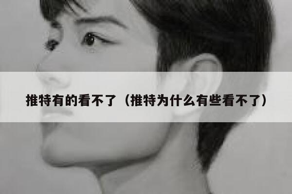 推特有的看不了（推特为什么有些看不了） 第1张