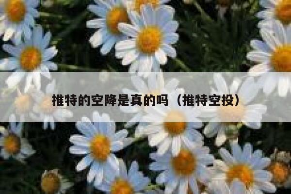 推特的空降是真的吗（推特空投） 第1张