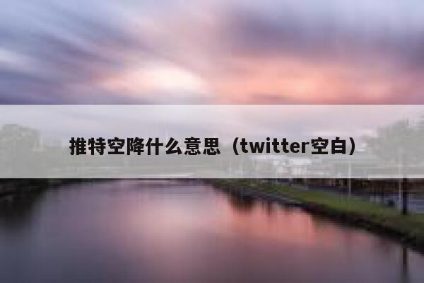 推特空降什么意思（twitter空白） 第1张