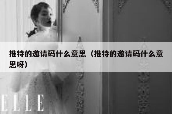 推特的邀请码什么意思（推特的邀请码什么意思呀） 第1张
