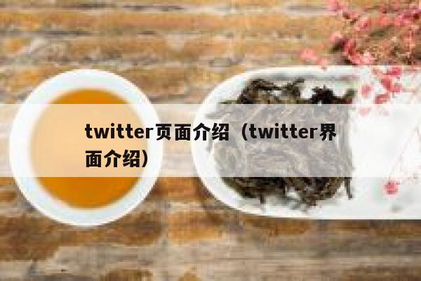 twitter页面介绍（twitter界面介绍） 第1张
