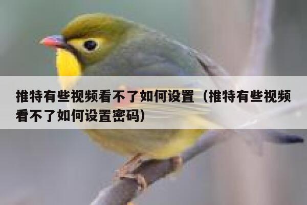 推特有些视频看不了如何设置（推特有些视频看不了如何设置密码） 第1张