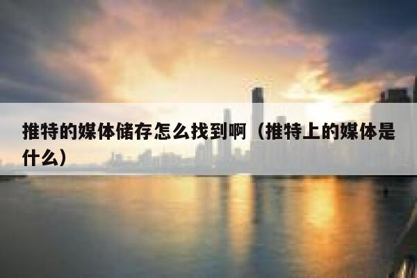 推特的媒体储存怎么找到啊（推特上的媒体是什么） 第1张