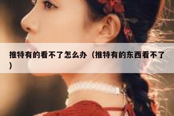 推特有的看不了怎么办（推特有的东西看不了） 第1张