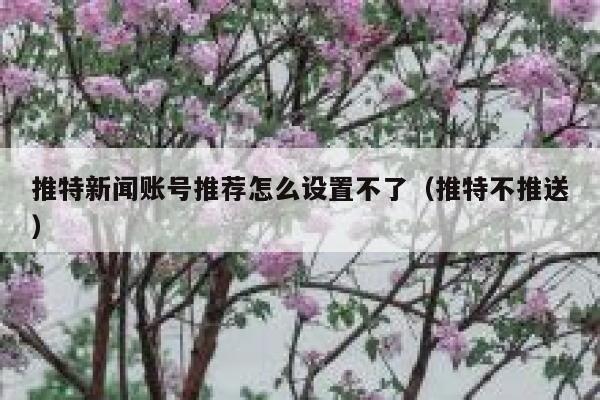 推特新闻账号推荐怎么设置不了（推特不推送） 第1张