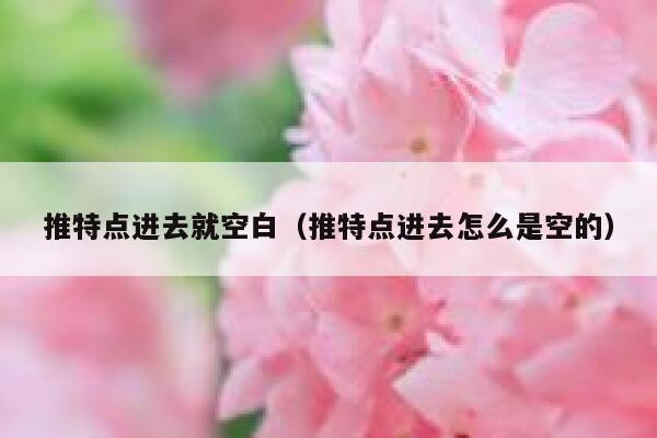 推特点进去就空白（推特点进去怎么是空的） 第1张
