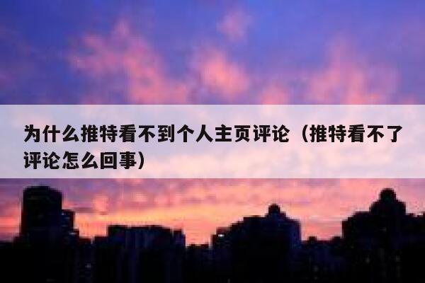 为什么推特看不到个人主页评论（推特看不了评论怎么回事） 第1张