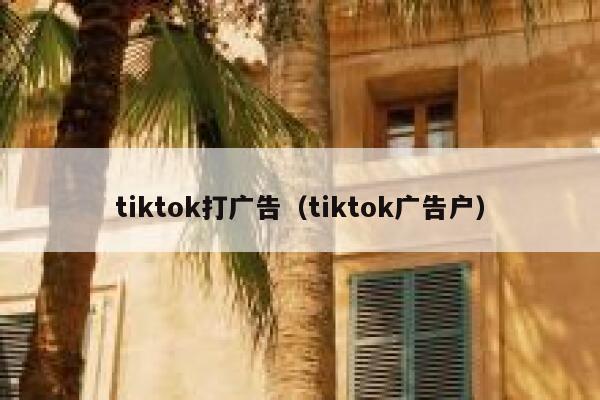 tiktok打广告（tiktok广告户） 第1张
