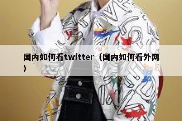 国内如何看twitter（国内如何看外网） 第1张