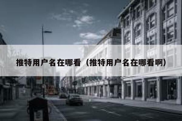 推特用户名在哪看（推特用户名在哪看啊） 第1张