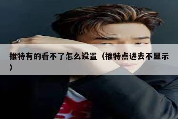 推特有的看不了怎么设置（推特点进去不显示） 第1张