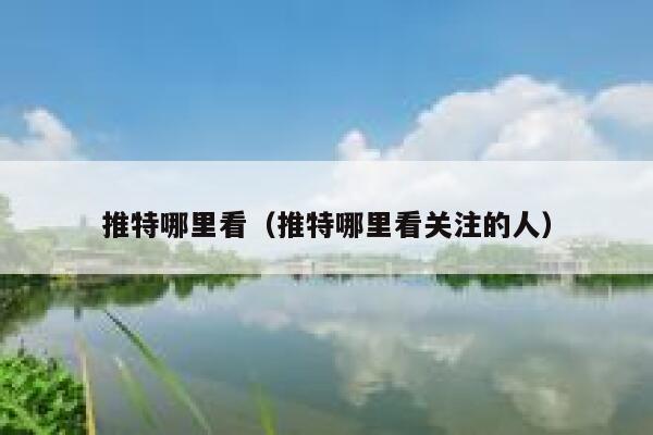 推特哪里看（推特哪里看关注的人） 第1张