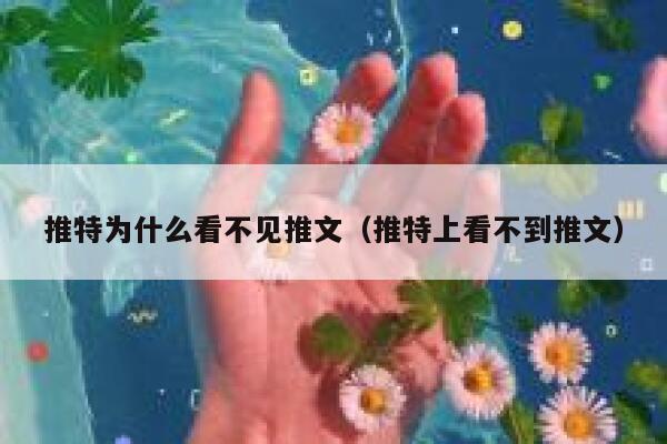 推特为什么看不见推文（推特上看不到推文） 第1张