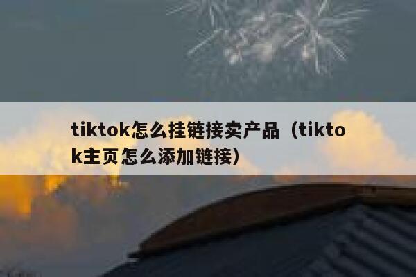 tiktok怎么挂链接卖产品（tiktok主页怎么添加链接） 第1张