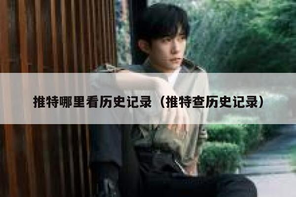 推特哪里看历史记录（推特查历史记录） 第1张