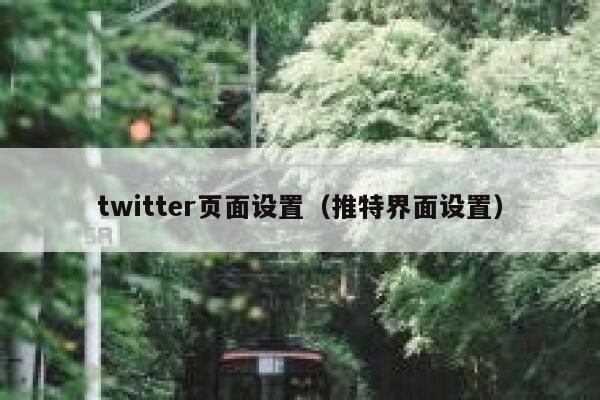twitter页面设置（推特界面设置） 第1张