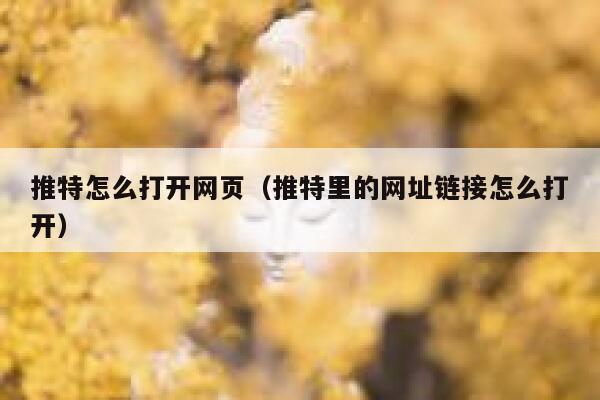 推特怎么打开网页（推特里的网址链接怎么打开） 第1张