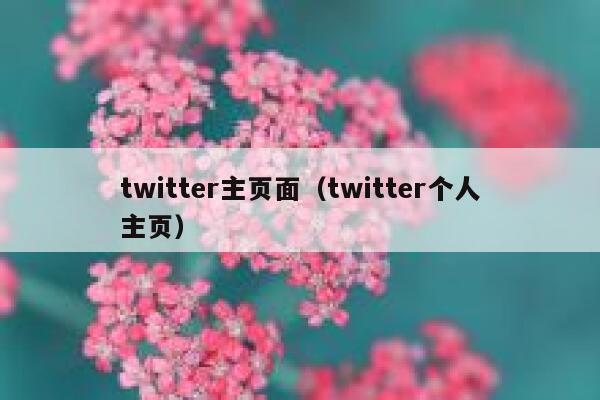 twitter主页面（twitter个人主页） 第1张