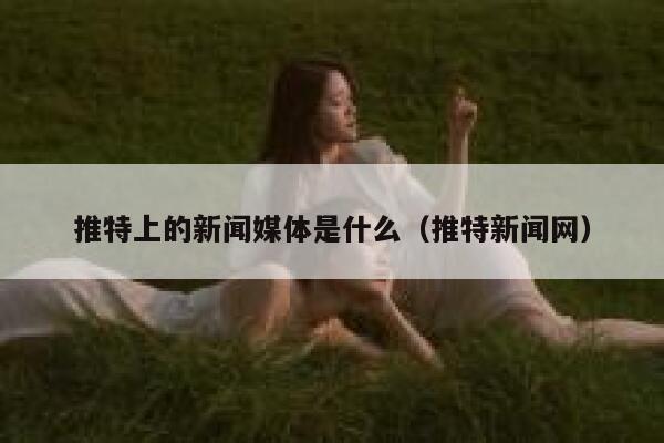 推特上的新闻媒体是什么（推特新闻网） 第1张