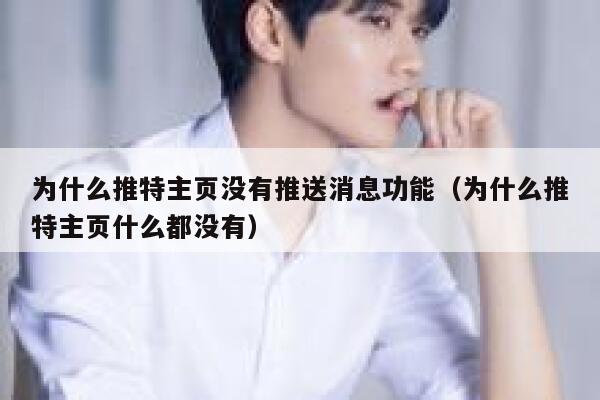 为什么推特主页没有推送消息功能（为什么推特主页什么都没有） 第1张