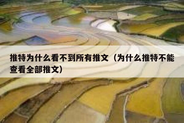 推特为什么看不到所有推文（为什么推特不能查看全部推文） 第1张
