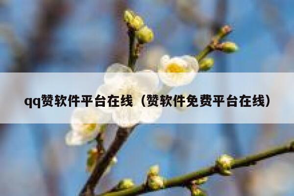 qq赞软件平台在线（赞软件免费平台在线） 第1张