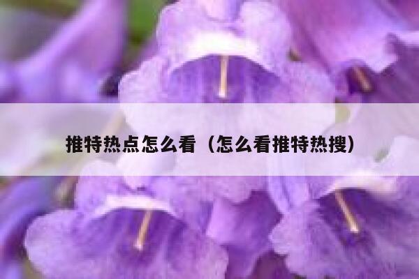 推特热点怎么看（怎么看推特热搜） 第1张
