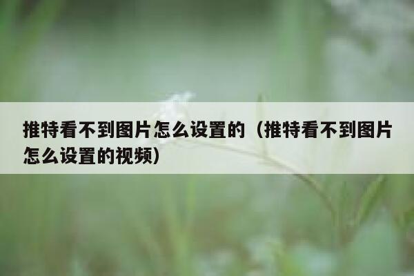 推特看不到图片怎么设置的（推特看不到图片怎么设置的视频） 第1张