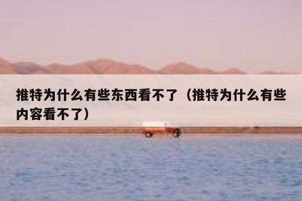 推特为什么有些东西看不了（推特为什么有些内容看不了） 第1张