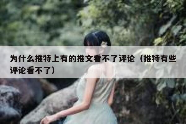 为什么推特上有的推文看不了评论（推特有些评论看不了） 第1张