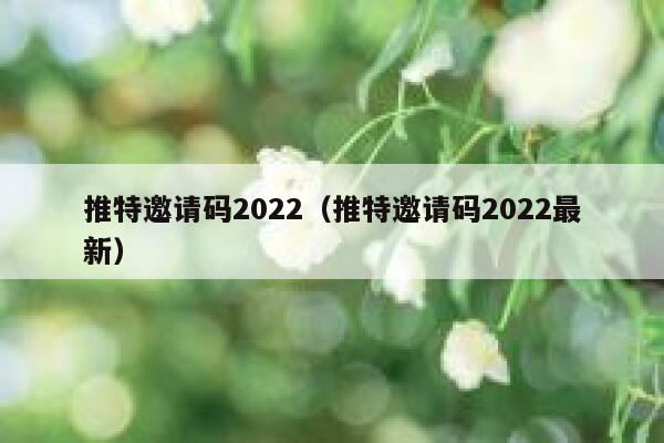 推特邀请码2022（推特邀请码2022最新） 第1张