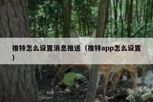 推特怎么设置消息推送（推特app怎么设置） 第1张