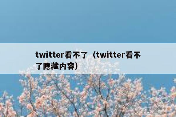 twitter看不了（twitter看不了隐藏内容） 第1张
