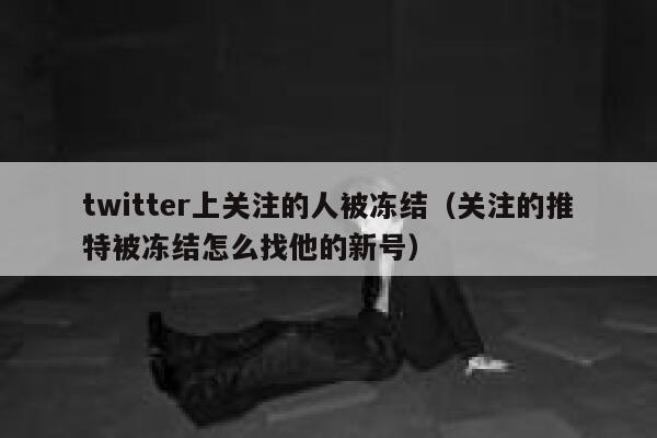 twitter上关注的人被冻结（关注的推特被冻结怎么找他的新号） 第1张