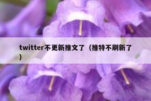 twitter不更新推文了（推特不刷新了） 第1张
