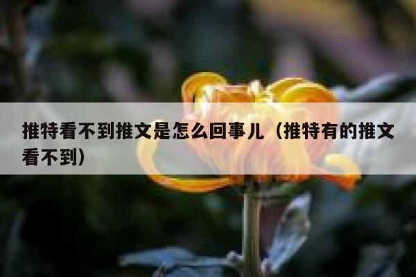 推特看不到推文是怎么回事儿（推特有的推文看不到） 第1张