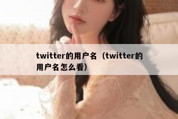 twitter的用户名（twitter的用户名怎么看） 第1张