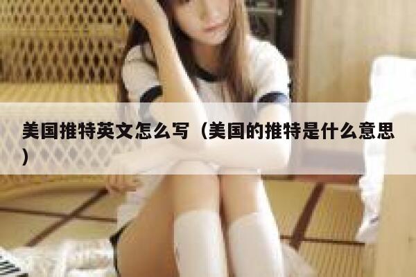 美国推特英文怎么写（美国的推特是什么意思） 第1张