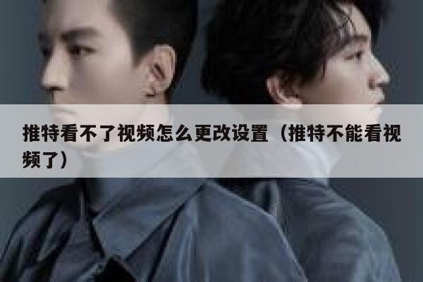 推特看不了视频怎么更改设置（推特不能看视频了） 第1张