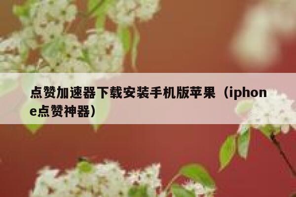 点赞加速器下载安装手机版苹果（iphone点赞神器） 第1张