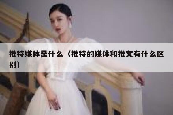推特媒体是什么（推特的媒体和推文有什么区别） 第1张